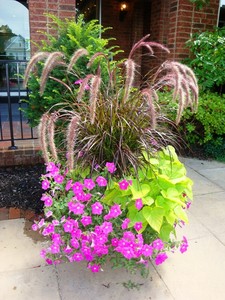 Backyard Retreats Patios & Ponds LLC