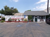 Kitty care hotel