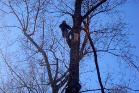 Triangle ServicePros