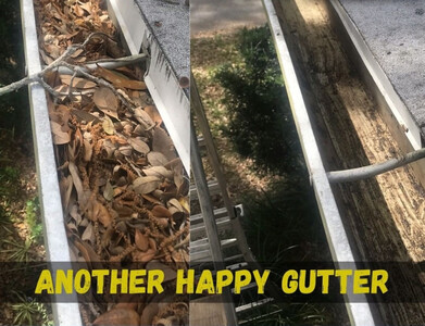 Rickys Gutter Cleaning Service