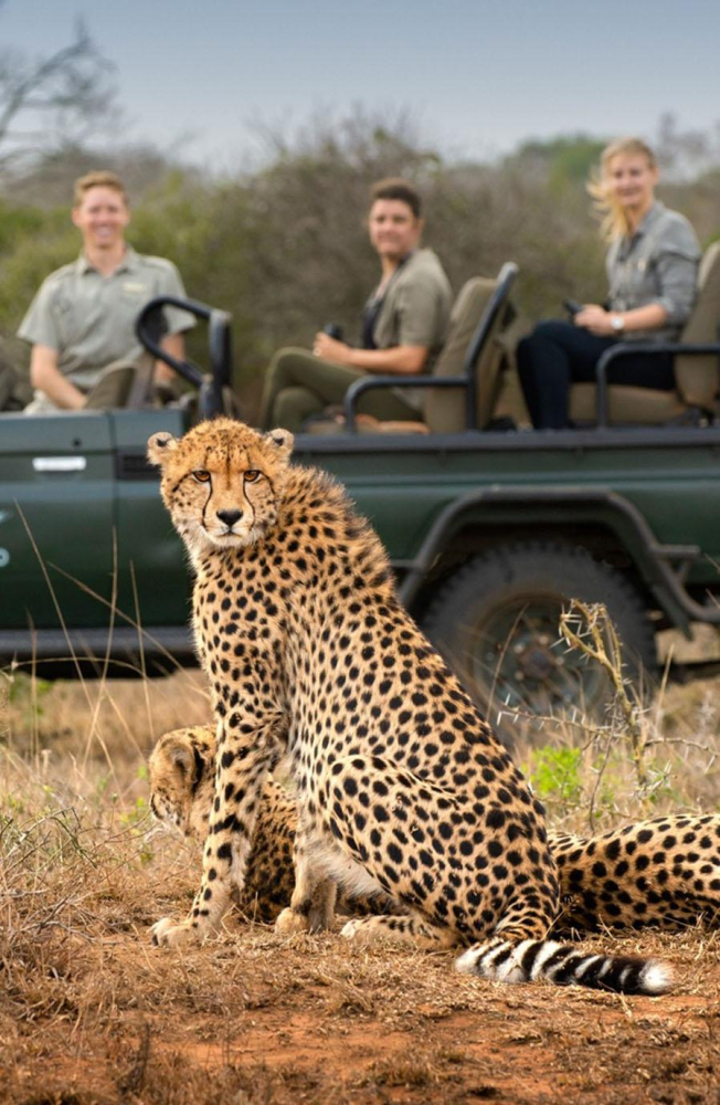 Extraordinary Safaris