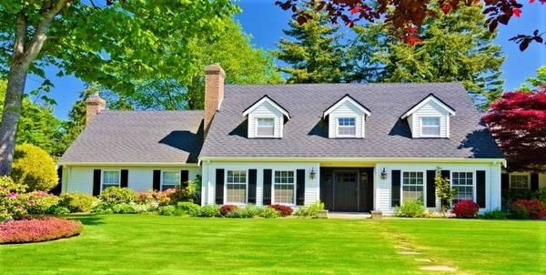 Suzette Buys Houses