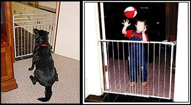 Gate Repair Services Experts Pearland