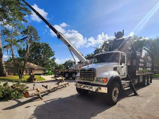 Brandon Tree Service