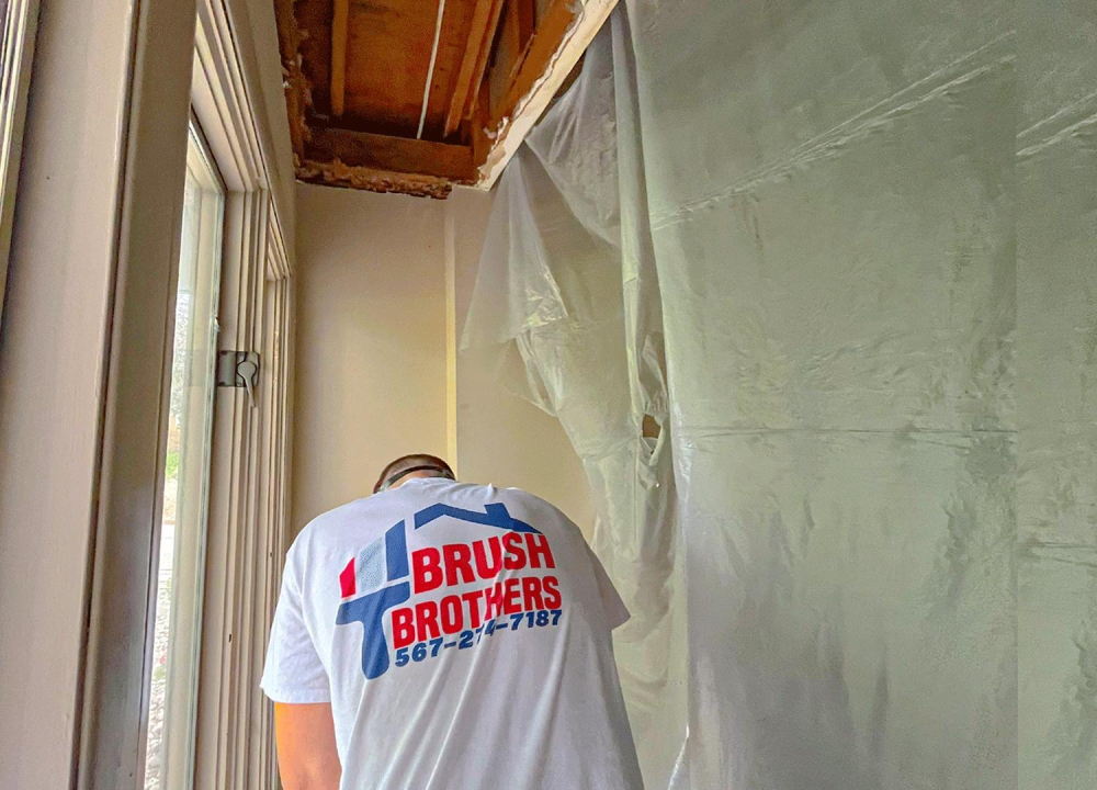 Brush Brothers Painting