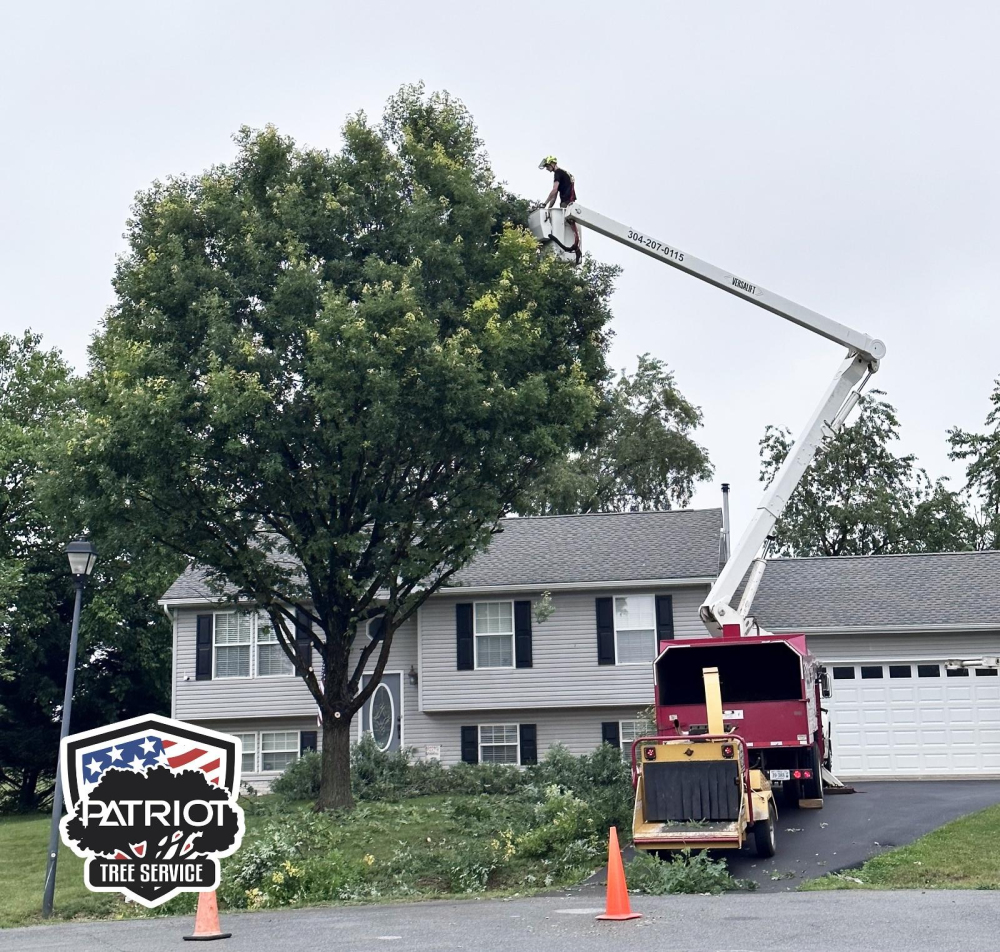 Patriot Tree Service