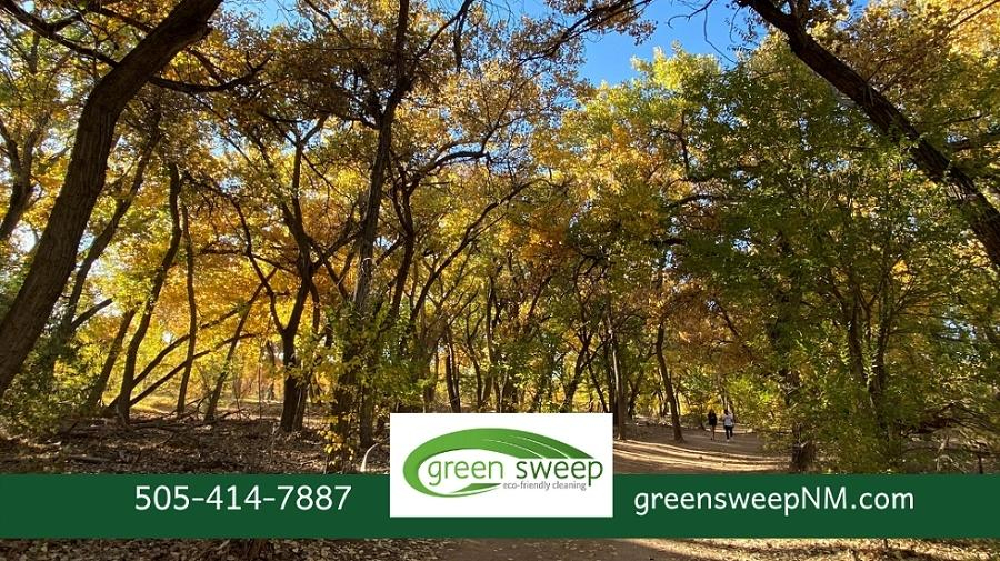 green sweep