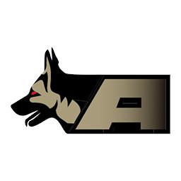 Apollo Computer Internet Services, LLC