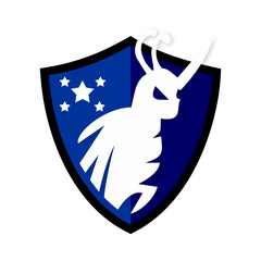 Bug Solutions & Termite Pest Control