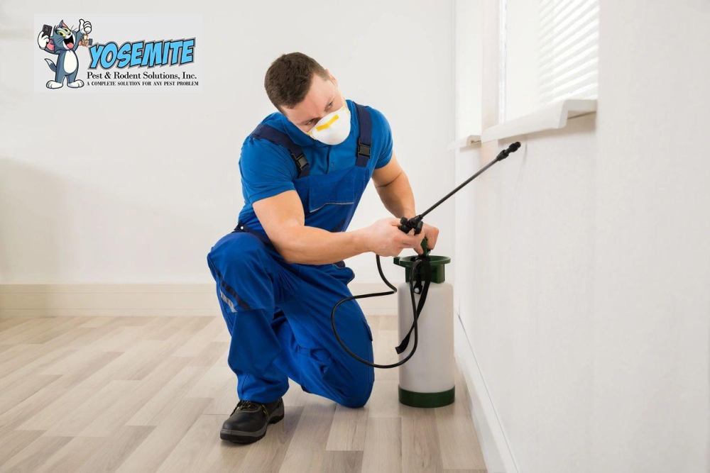 Yosemite Pest & Rodent Solutions