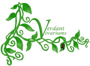 Verdant Vivariums