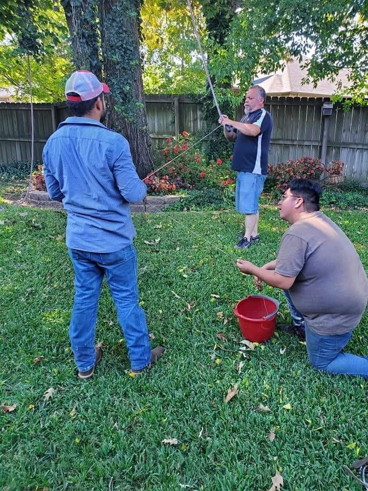 baileys lawn and tree service