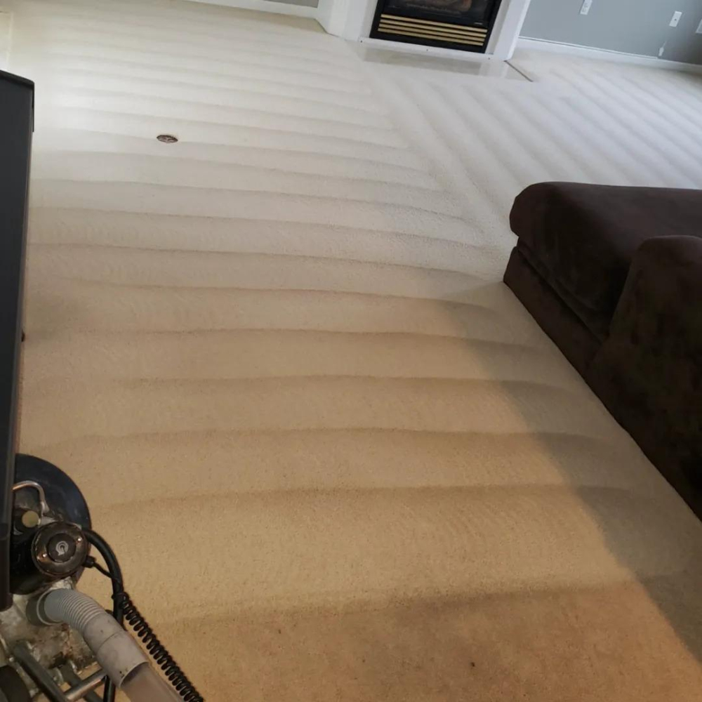 HL Carpet Cleaning Services