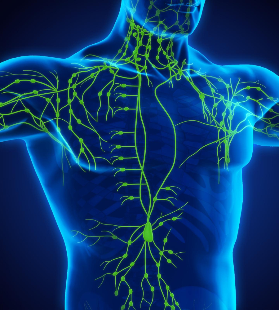 The Bodhi Tree Holistic Health Solutions