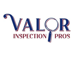 Valor Inspection PROS