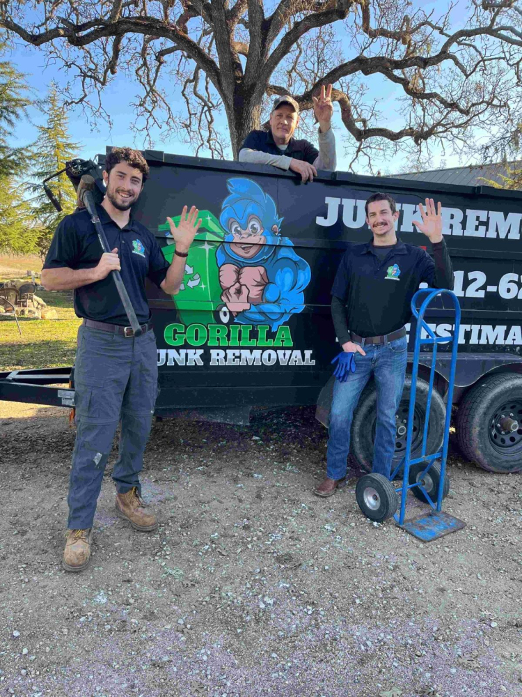 Gorilla Junk Removal