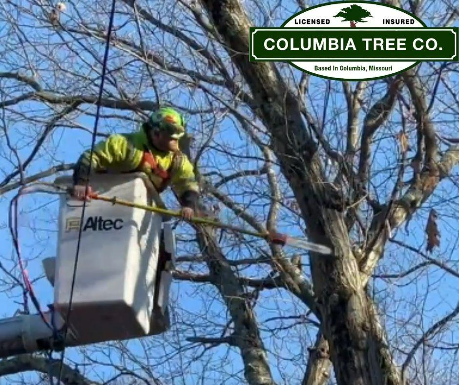 Columbia Tree Co.