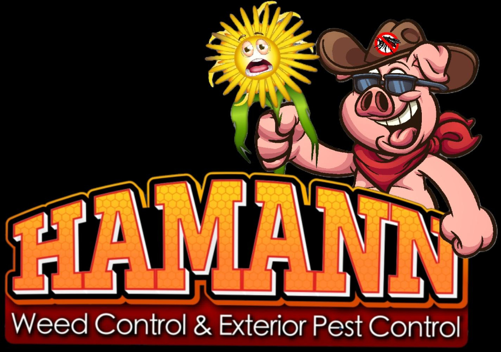 Hamann Weed Control & Exterior Pest Control