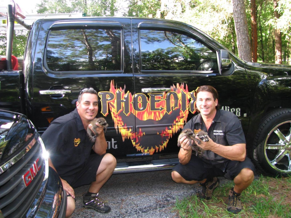 Phoenix Pest Management & Wildlife Control