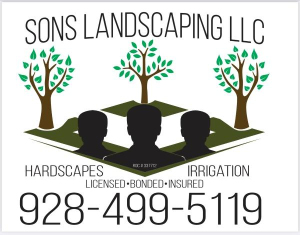 Sons landscaping llc