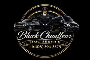 Black Chauffeur Limo Service
