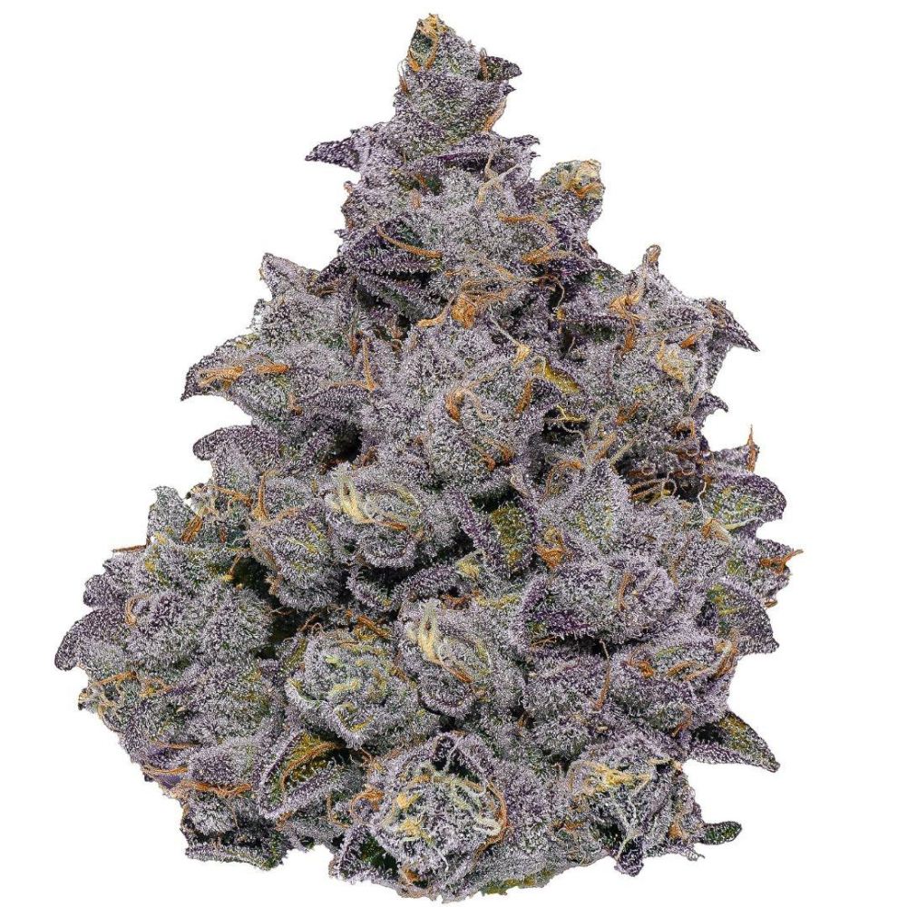 Sherlocks Glass & Dispensary