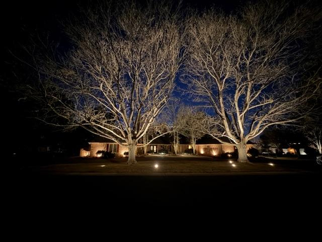 Denver Landscape Lighting