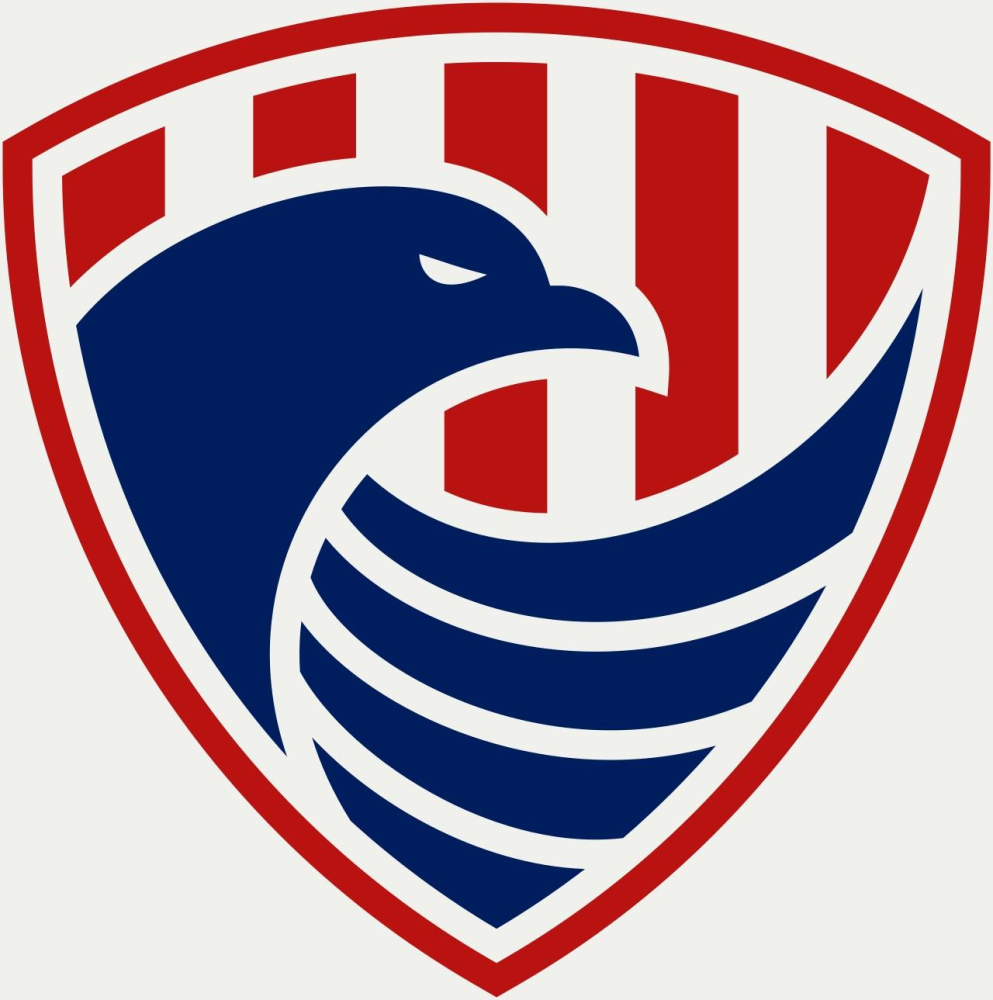 Naples Security LLC
